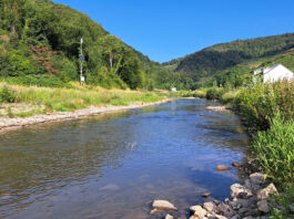 Der Flussverlauf der Ahr in Mayschoß-Laach im Sommer 2024. Foto: S. Macht